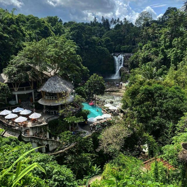 Ubud Private Tour: Monkey Forest, Rice Terraces & Waterfall - Preparation Tips and Restrictions