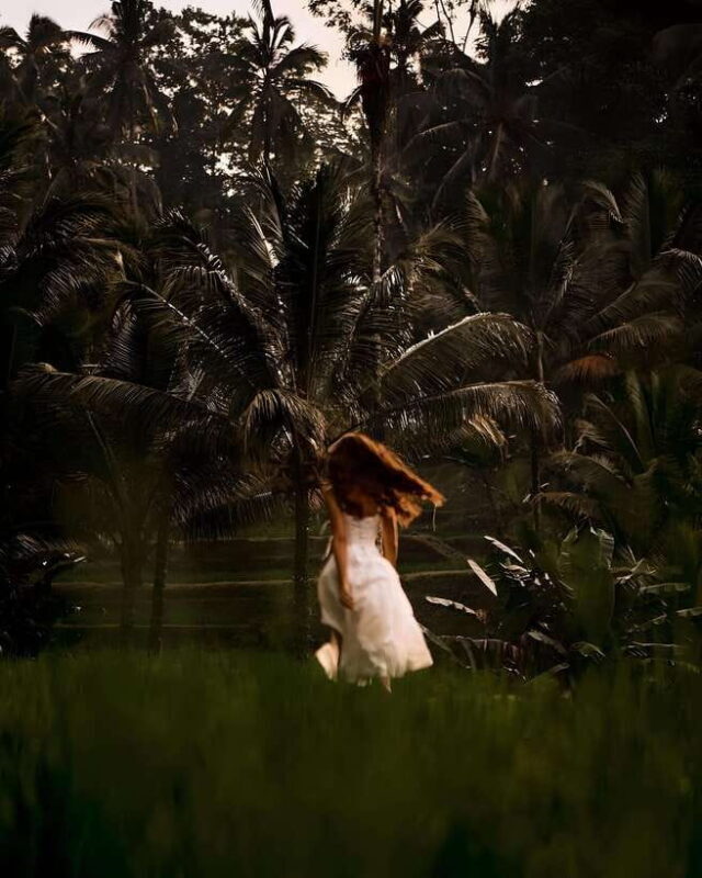 Ubud: Private Tour of Temples, Waterfalls & Rice Terraces - Exploring Bali: What to Expect from This Tour