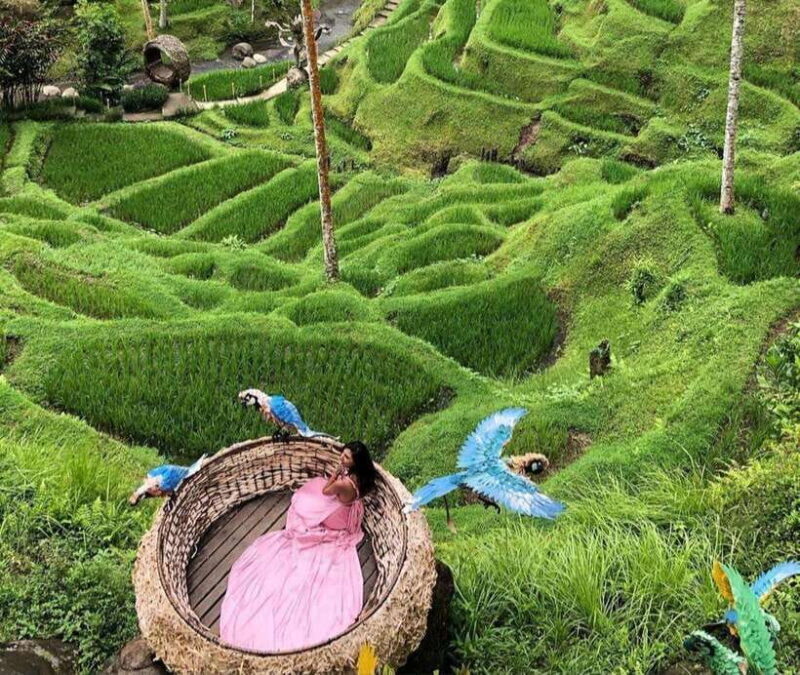 ubud : private tour,atv,rice terrace,waterfalls - An Authentic Day in Ubud: What to Expect