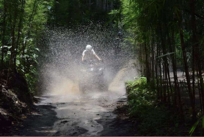 Ubud: Quad Bike and Photography - Exploring the Ubud Quad Bike & Photography Tour  