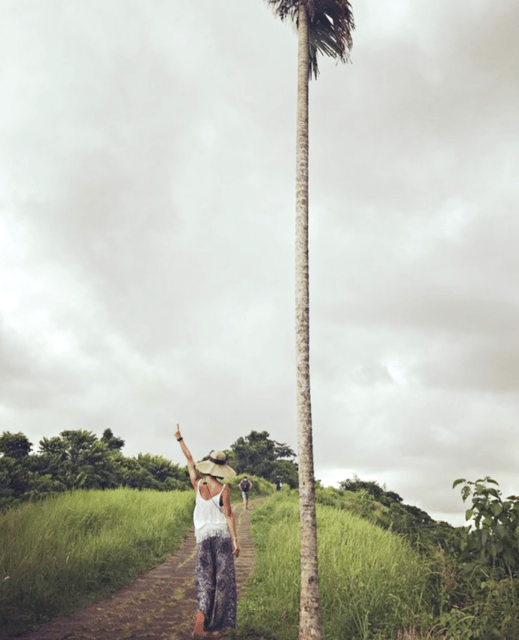 Ubud Relaxation Tour - Experience Description