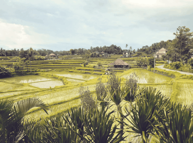 Ubud Relaxation Tour - Vehicle Capacity