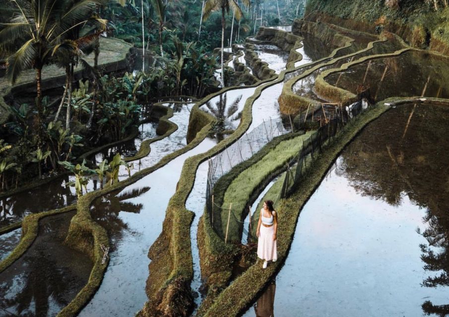 Ubud: Rice Terrace, Holy Water Temple & Waterfalls Trek Tour - Frequently Asked Questions