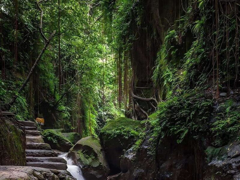 Ubud: Rice Terrace, Monkey Forest, Temple, & Waterfall - An Inside Look at the Ubud Experience