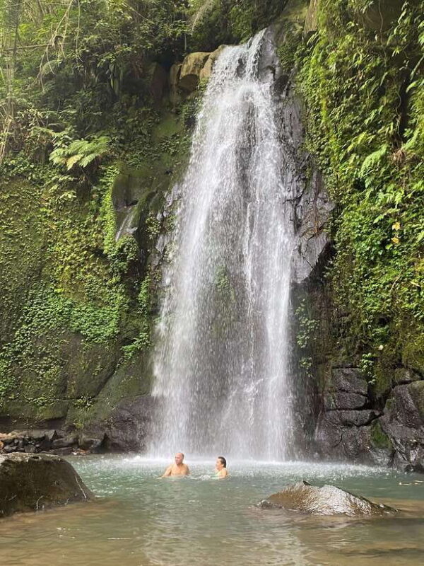 Ubud: Rice Terrace, Monkey Forest, Temple, & Waterfall - Final Thoughts