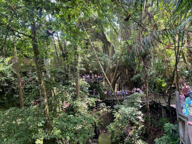 Ubud: Rice Terrace, Monkey Forest, Temple, & Waterfall - FAQ