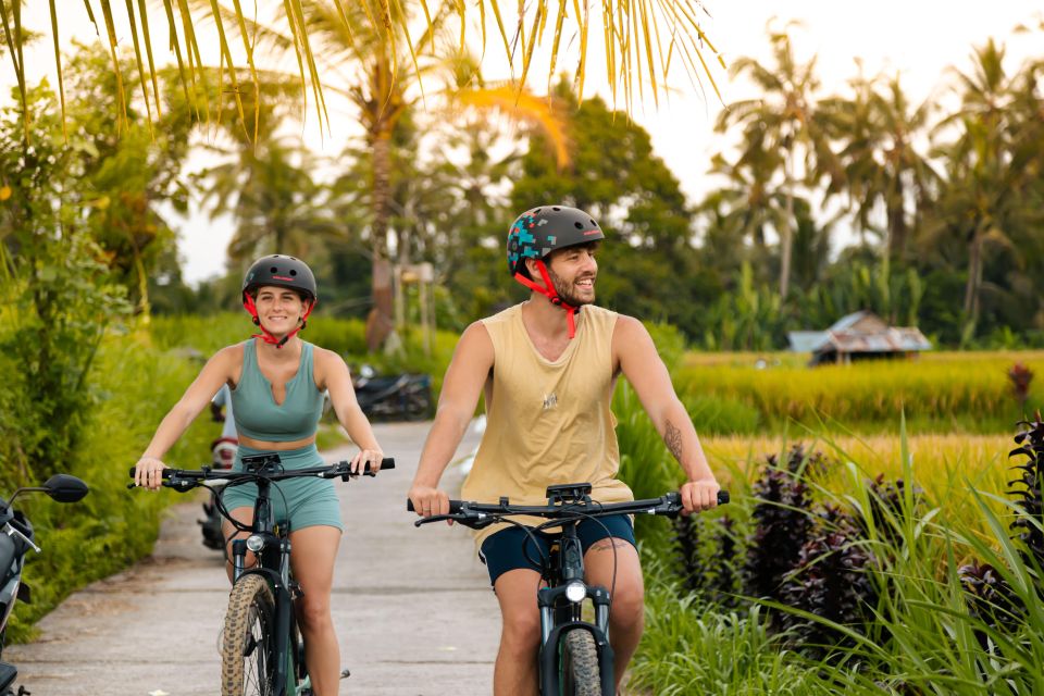 Ubud Rice Terrace & Villages E-Bike Tour by Alasan Adventure - Experience Highlights