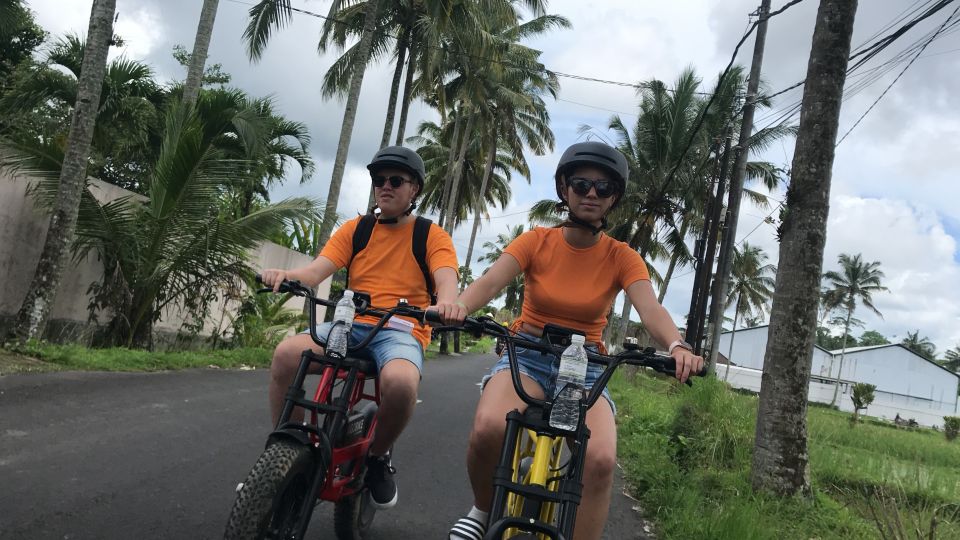 Ubud: Rice Terraces & Villages Half-Day Fat Tire E-Bike Tour - Key Points
