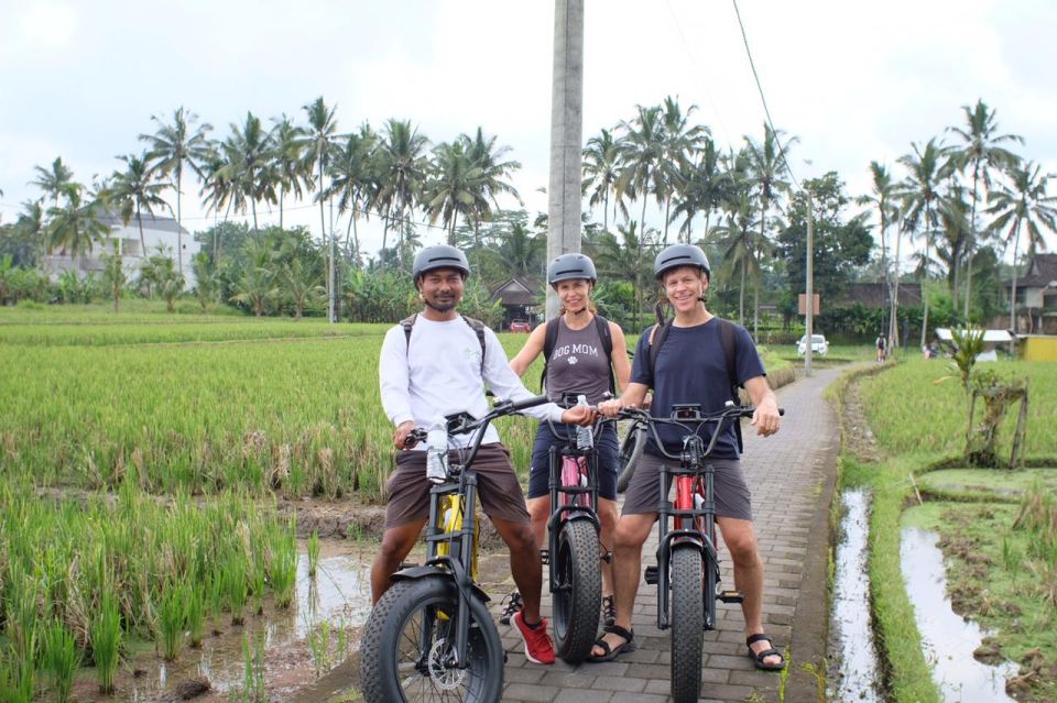 Ubud: Rice Terraces & Villages Half-Day Fat Tire E-Bike Tour - Highlights of the Tour