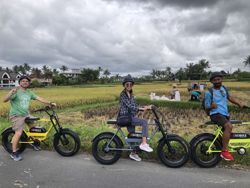 Ubud: Rice Terraces & Villages Half-Day Fat Tire E-Bike Tour - Pickup and Dropoff