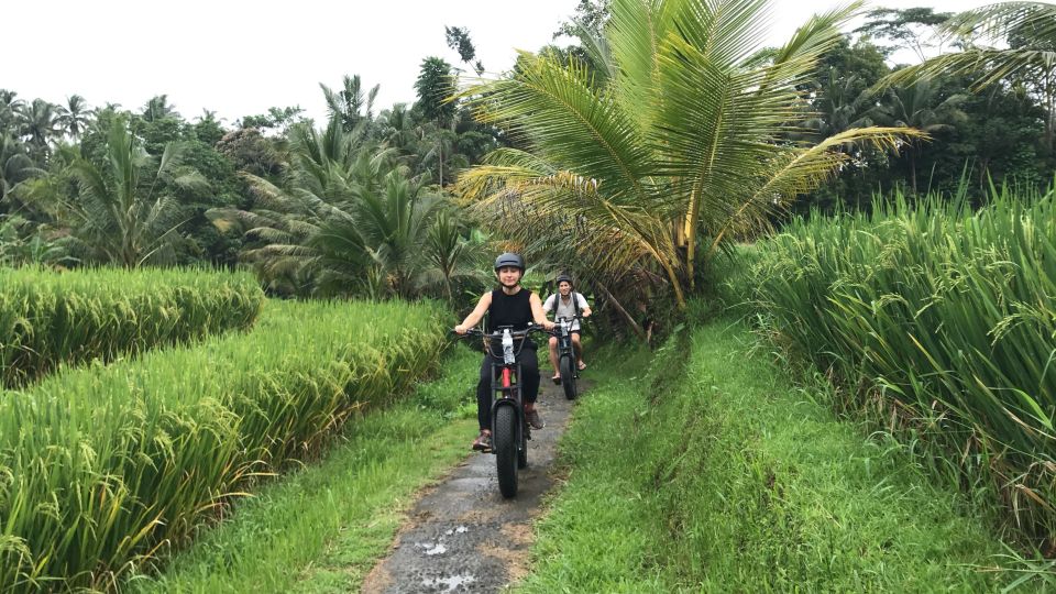 Ubud: Rice Terraces & Villages Half-Day Fat Tire E-Bike Tour - Tour Duration