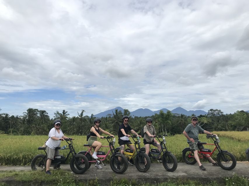 Ubud: Rice Terraces & Villages Half-Day Fat Tire E-Bike Tour - Additional Charges