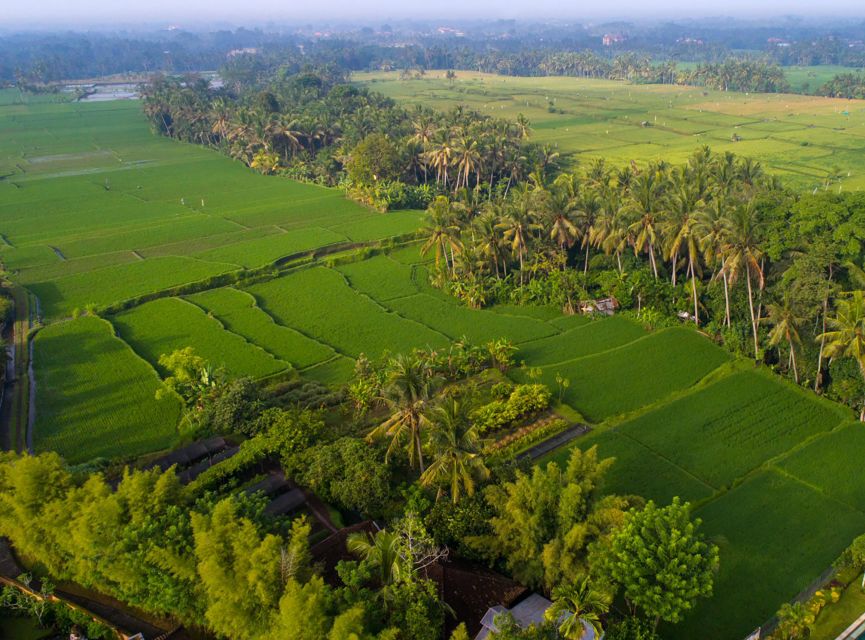 Ubud: Romantic Dinner Among the Rice Fields - Frequently Asked Questions