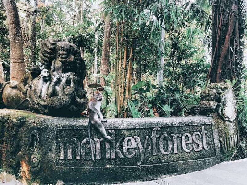 Ubud: Sacred Monkey Forest, Barong Cave ATV & Waterfall Tour - FAQ