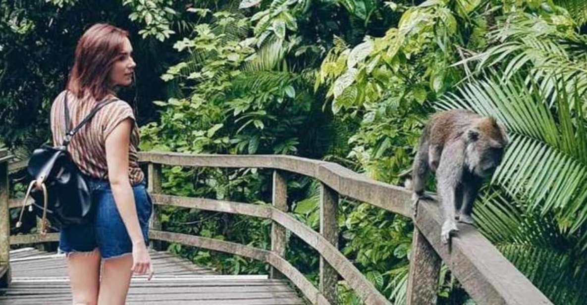 Ubud: Sacred Monkey Forest, Waterfall & Rice Terraces Tour - Key Points
