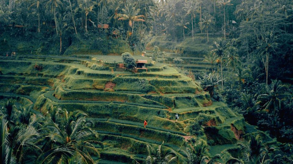 Ubud: Sacred Monkey Forest, Waterfall & Rice Terraces Tour - Goa Gajah Archaeological Site