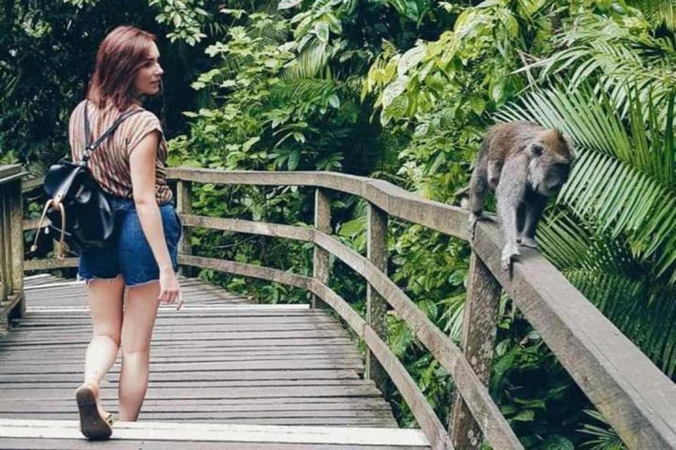 Ubud: Sacred Monkey Forest, Waterfall & Rice Terraces Tour - Frequently Asked Questions