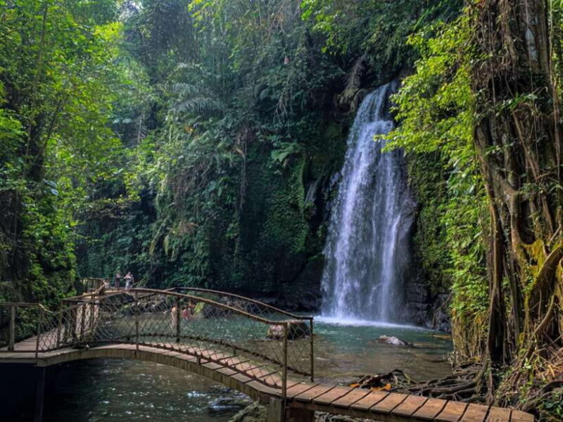 Ubud : Sacred Temples & Rice Terraces full day, Private Tour - Savoring Bali’s Coffee Culture