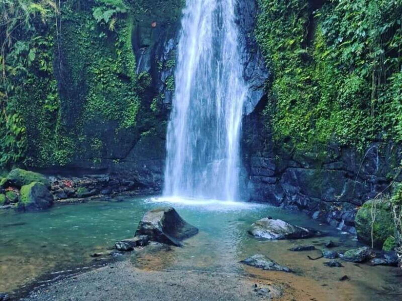 Ubud : Sacred Temples & Rice Terraces full day, Private Tour - Authenticity and Reviewer Insights