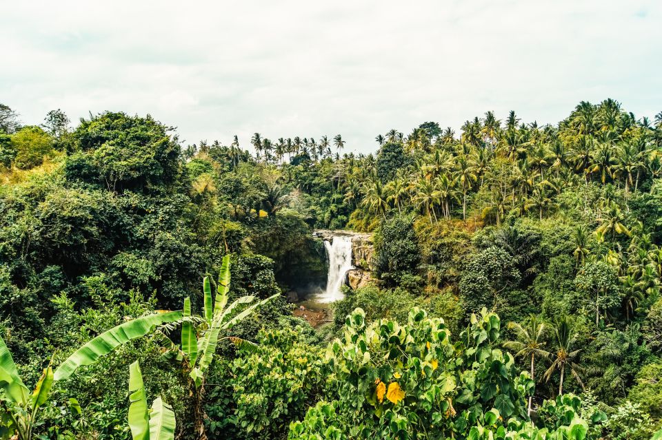 Ubud: Spectacular Waterfalls Tour - Pricing and Booking