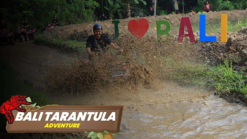 Ubud: Swing and ATV Adventure - Key Points