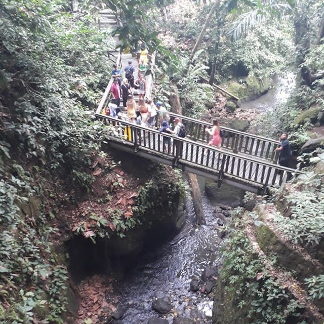 Ubud Swing : Explore Ubud Country Side & Taste of Coffee - Detailed Itinerary