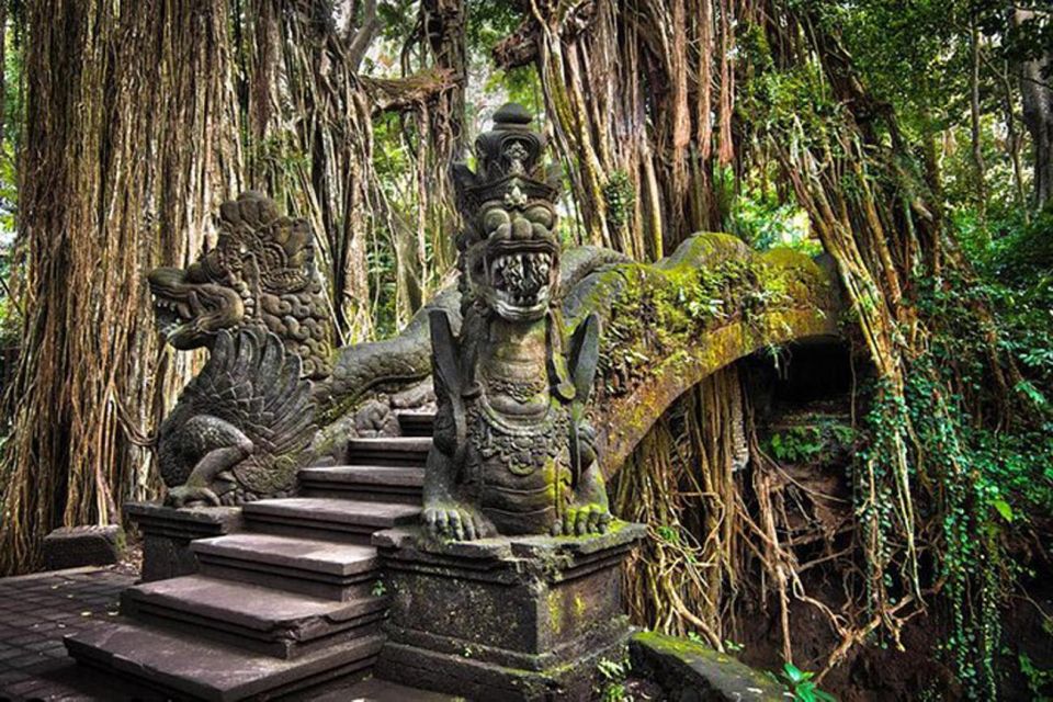 Ubud Swing : Explore Ubud Country Side & Taste of Coffee - Transportation Options