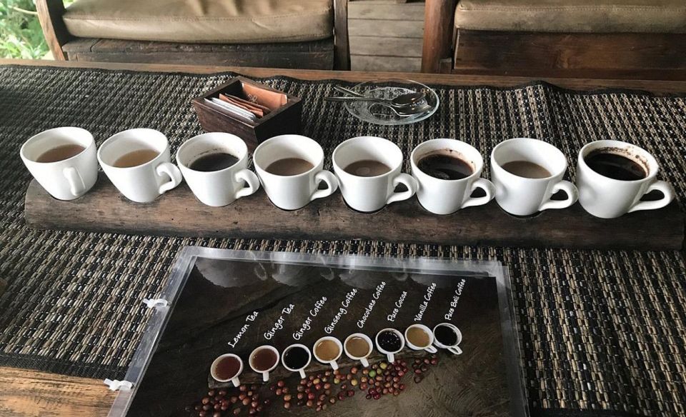 Ubud Swing : Explore Ubud Country Side & Taste of Coffee - Exploring Ubud Attractions