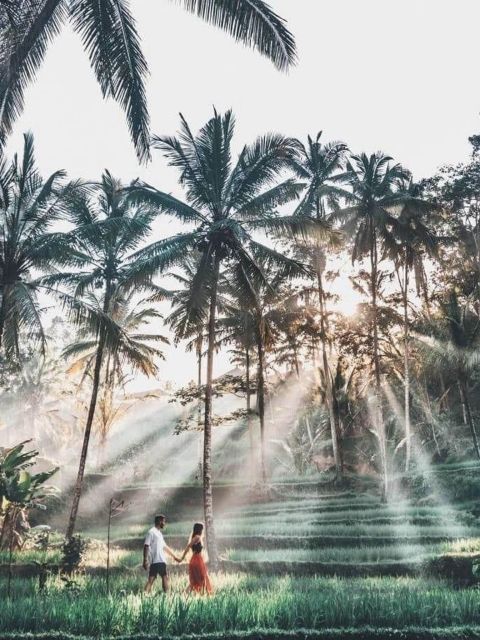 Ubud Tegallalang Rice Terrace Tour - Inclusions