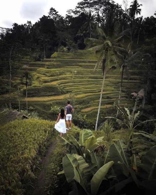 Ubud Tegallalang Rice Terrace Tour - Getting to the Rice Terrace