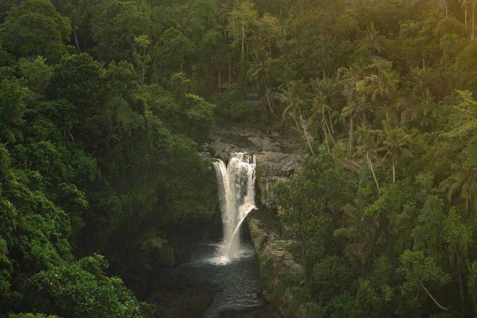 Ubud: Tegallalang Rice Terrace, Waterfall and Tirta Empul - Luwak Coffee and Tastings