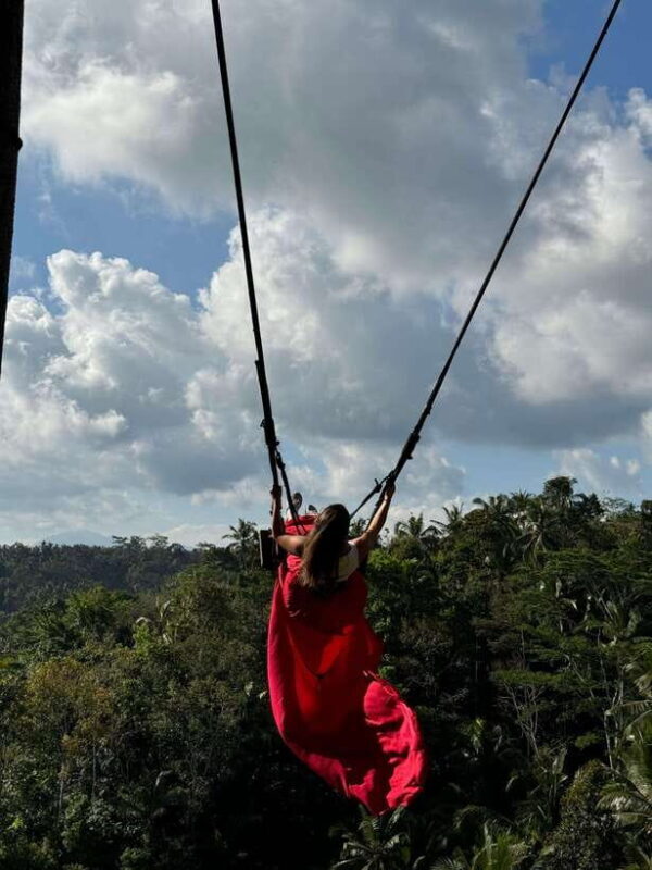 Ubud: Temple, Waterfall, Rice Terrace, Swing & Monkey Forest - The Sum Up: Who Should Sign Up?