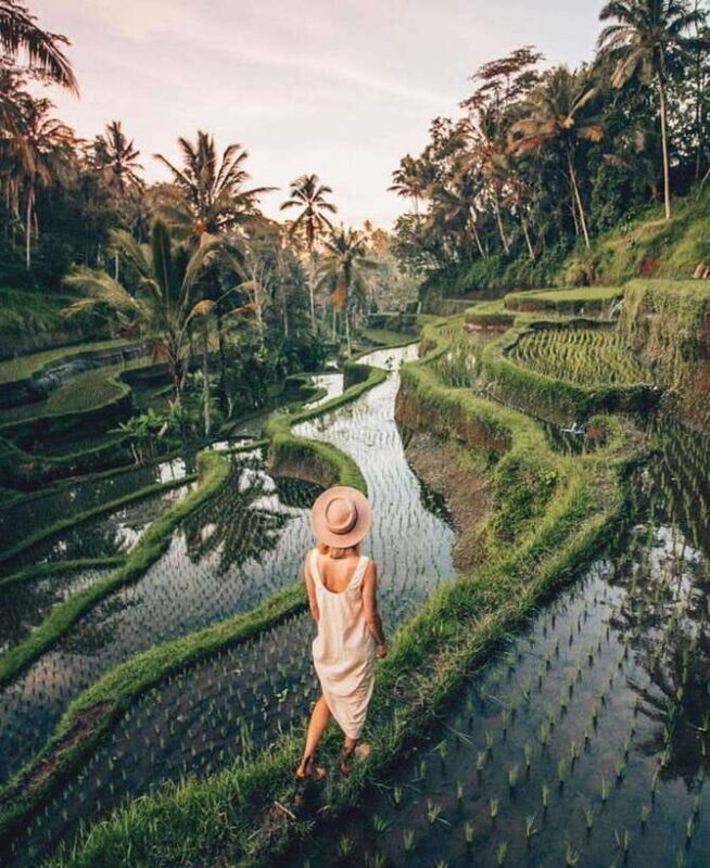 Ubud: The Artistic and Traditional Paradise of Bali - Final Words
