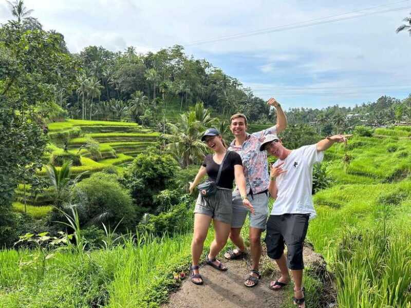 Ubud: Tirta Empul, Rice Terrace, Waterfall and Custom Tour - The Experience Options and Their Value