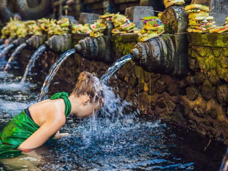 Ubud: Tirta Empul Temple, Rice Terraces, and Waterfall Tour - A Balanced Look at the Experience