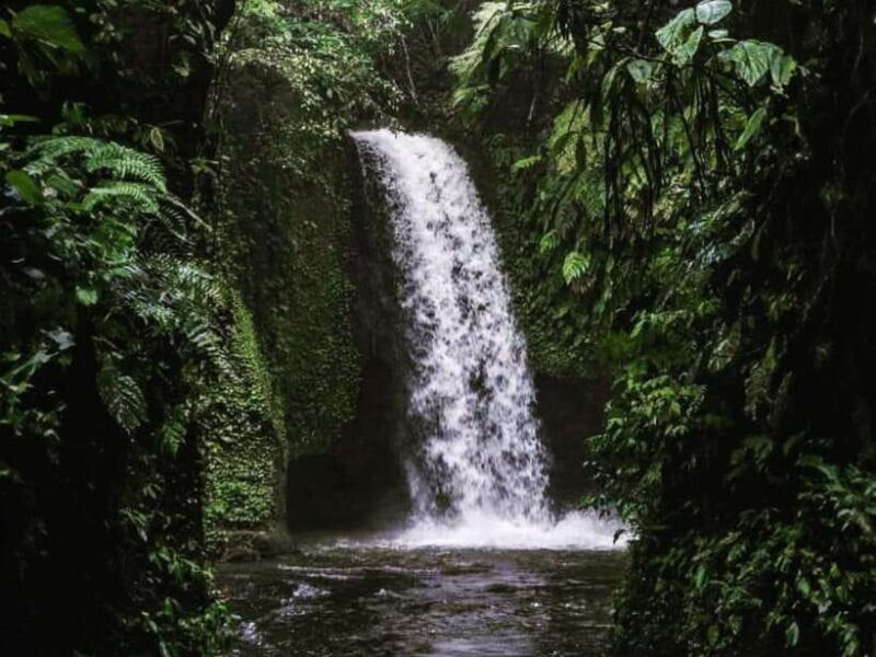 Ubud: Tirta Empul Temple, Rice Terraces, and Waterfall Tour - Cost and Value Considerations