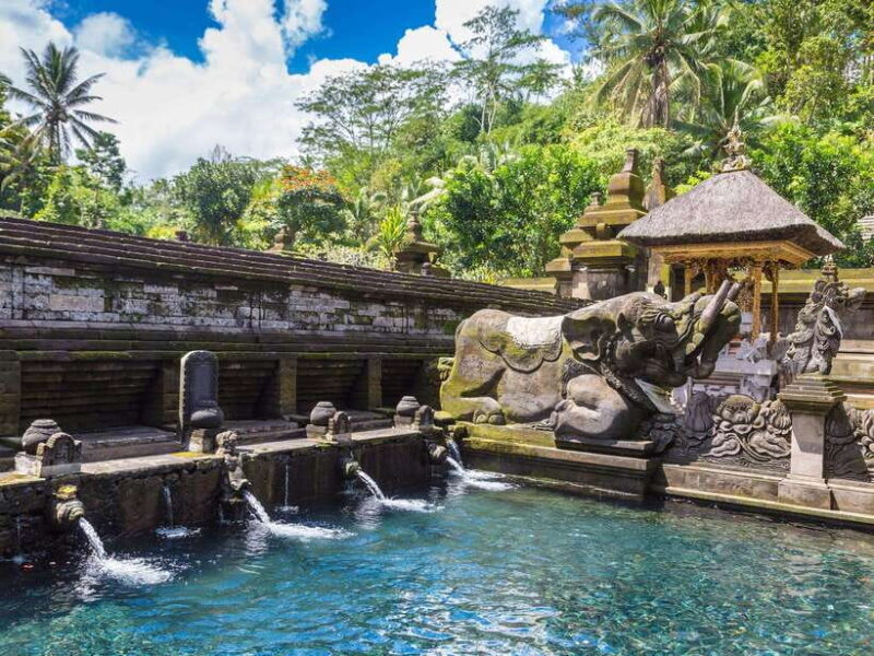 Ubud: Tirta Empul Temple, Rice Terraces, and Waterfall Tour - Who Should Book This Tour?