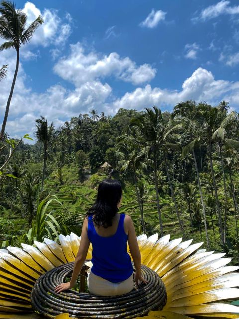 Ubud: Tirta Empul Temple, Swing, Rice Terrace, Kintamani - Key Points