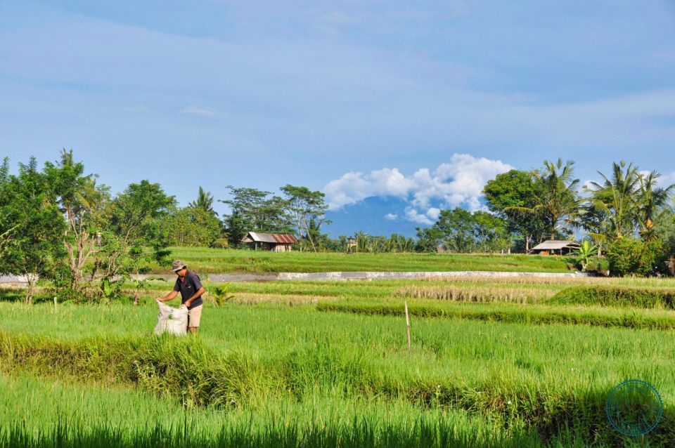 Ubud: Tjampuhan Ridge, Monkey Forest & Art Market Photo Tour - Campuhan Ridge Walk