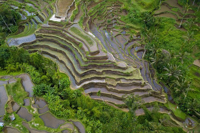Ubud Top Attractions: Waterfalls, Temples and Rice Terraces - Inclusions and Logistics