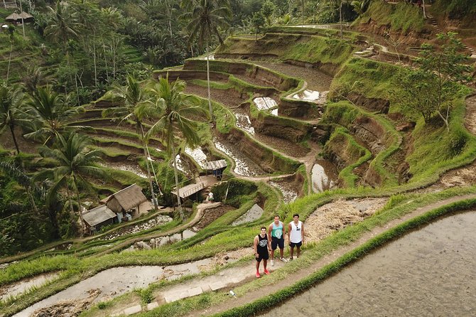 Ubud Top Attractions: Waterfalls, Temples and Rice Terraces - Pricing and Cancellation Policy