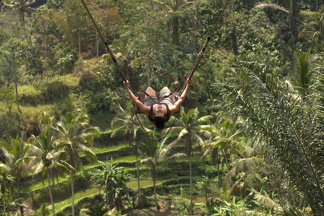 Ubud Top Attractions: Waterfalls, Temples and Rice Terraces - Guest Reviews and Ratings