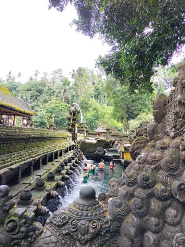 Ubud Top tour in a day - Key Points