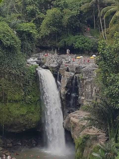 Ubud Top tour in a day - The Experience of a Guided Day in Bali