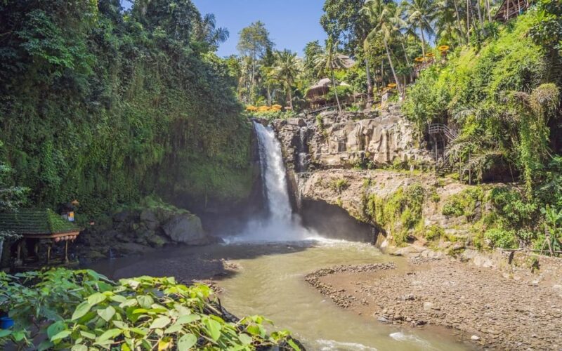 Ubud Tour Bali: Nature, Waterfall, and Cultural Experience - Good To Know