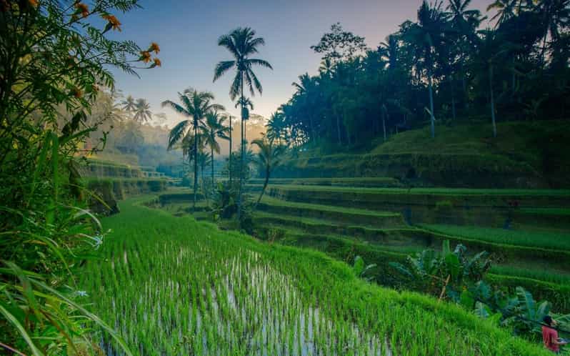 Ubud Tour Bali: Nature, Waterfall, and Cultural Experience - Cultural Experience