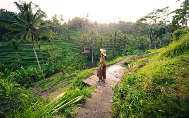 Ubud Tour Bali: Nature, Waterfall, and Cultural Experience - Transportation and Pickup