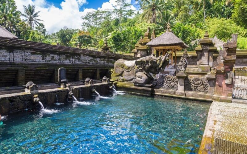 Ubud Tour Bali: Nature, Waterfall, and Cultural Experience - Tour Inclusions