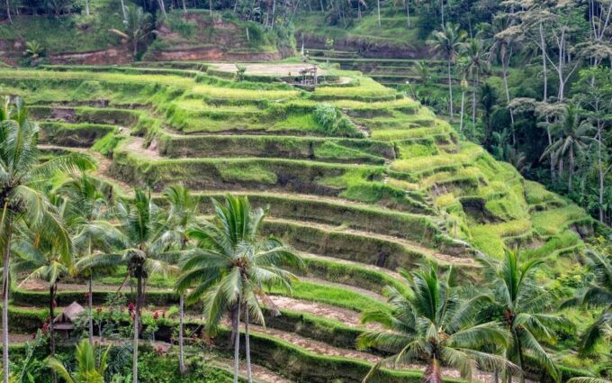 Ubud Tour Bali: Nature, Waterfall, and Cultural Experience - Pricing and Duration