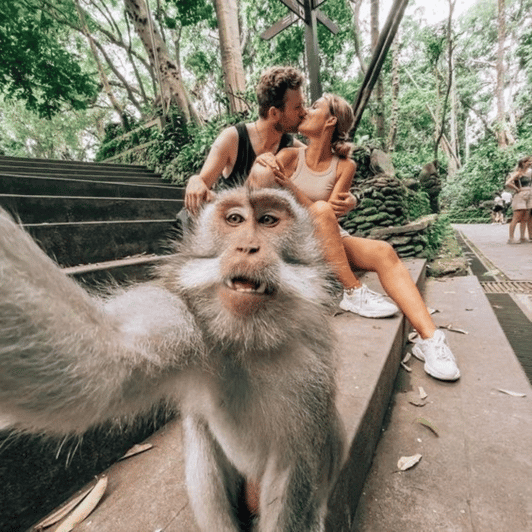 Ubud Tour: Lovely Day With Highlight of Ubud - Good To Know